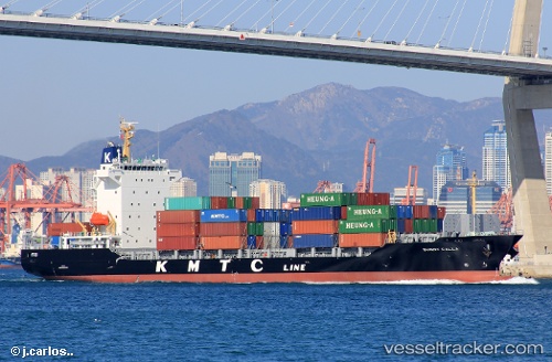 vessel Sunny Calla IMO: 9698381, Container Ship

