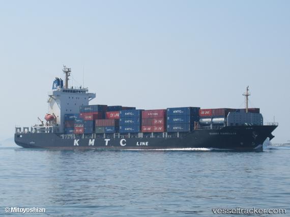 vessel Sunny Camellia IMO: 9698393, Container Ship
