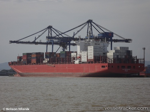 vessel San Fernando IMO: 9698642, Container Ship
