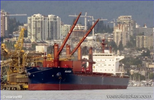 vessel Searider IMO: 9698953, Bulk Carrier

