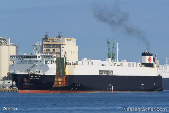 vessel Shinka Maru IMO: 9700275, Vehicles Carrier
