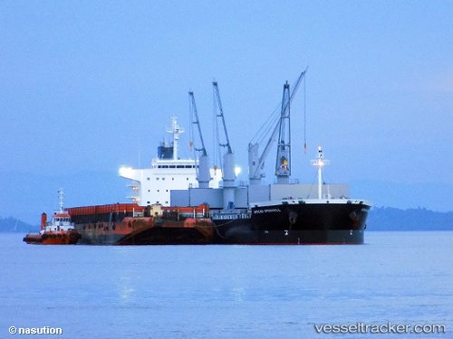 vessel African Spoonbill IMO: 9701712, Bulk Carrier
