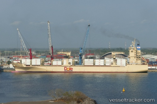 vessel Dole Caribbean IMO: 9703071, Container Ship
