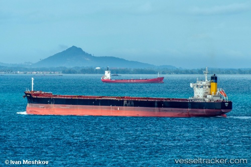 vessel Astrea IMO: 9705366, Bulk Carrier
