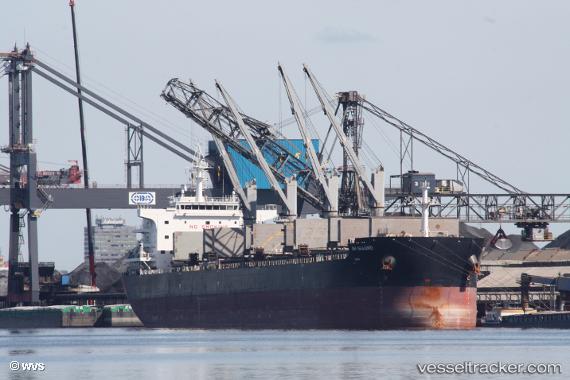vessel SEABIRD IMO: 9707687, Bulk Carrier