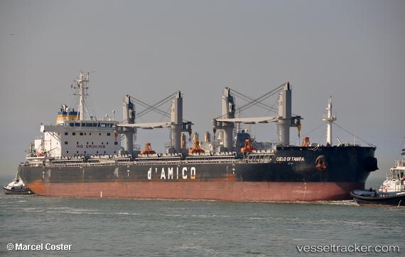 vessel Cielo Di Tampa IMO: 9707754, Bulk Carrier
