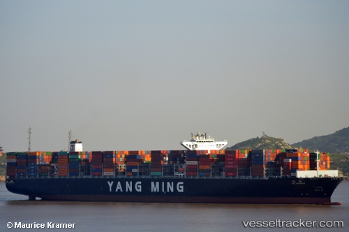 vessel Ym Window IMO: 9708435, Container Ship
