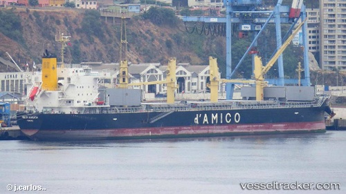 vessel MEDI HAKATA IMO: 9708746, Bulk Carrier