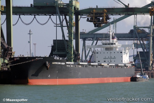 vessel BADGER IMO: 9708980, Bulk Carrier