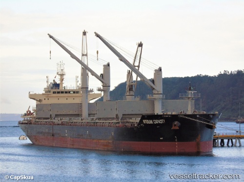 vessel Interlink Capacity IMO: 9711731, Bulk Carrier
