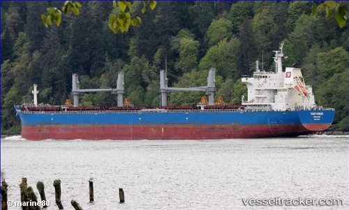 vessel Tiger Pioneer IMO: 9712199, Bulk Carrier
