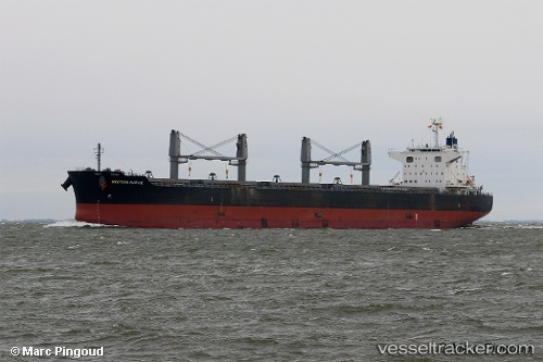 vessel Ssi Triumph IMO: 9713947, Bulk Carrier
