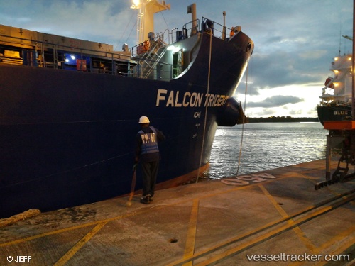 vessel Falcon Trident IMO: 9717591, Bulk Carrier
