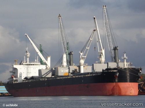 vessel Tomini Symphony IMO: 9718143, Bulk Carrier
