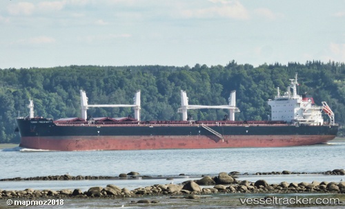 vessel Tomini Prosperity IMO: 9718181, Bulk Carrier
