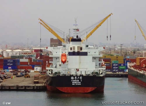 vessel Yangze 7 IMO: 9718911, Bulk Carrier
