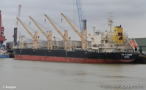 vessel Ts Flower IMO: 9719379, Bulk Carrier
