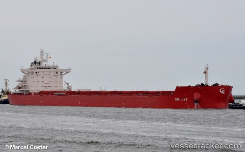 vessel DANAE IMO: 9719587, Bulk Carrier