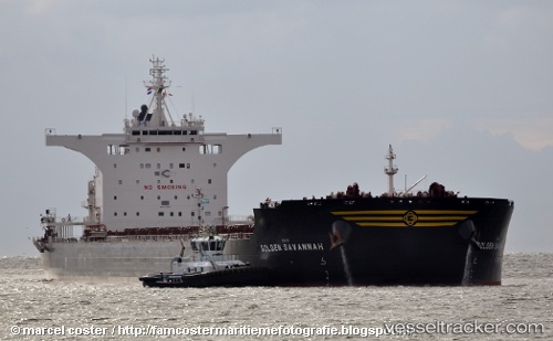 vessel Golden Savannah IMO: 9723538, Bulk Carrier
