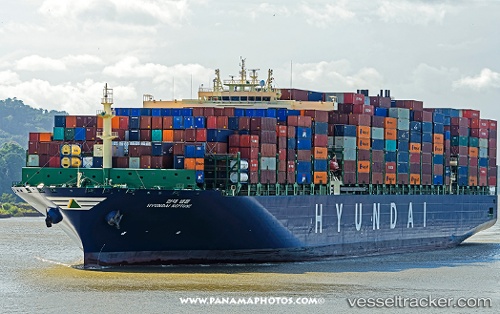 vessel Maersk Shanghai IMO: 9725158, Container Ship

