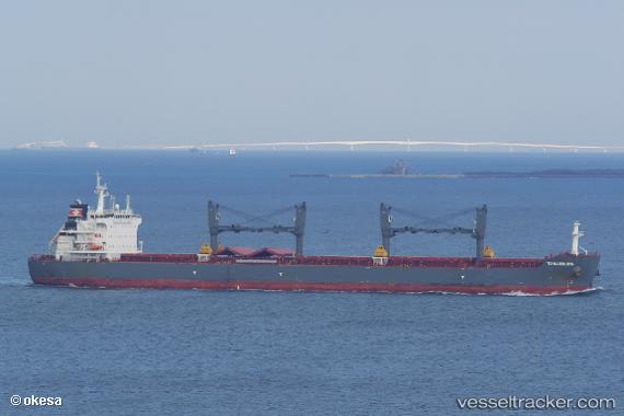 vessel Td Hamburg IMO: 9726578, Bulk Carrier
