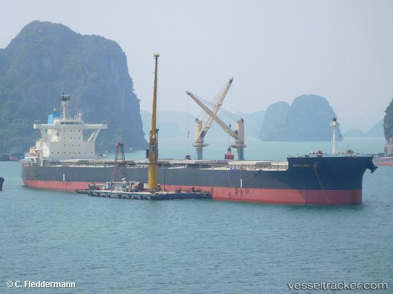 vessel Royal Hope IMO: 9726762, Bulk Carrier
