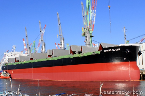 vessel Spring Queen IMO: 9727273, Bulk Carrier
