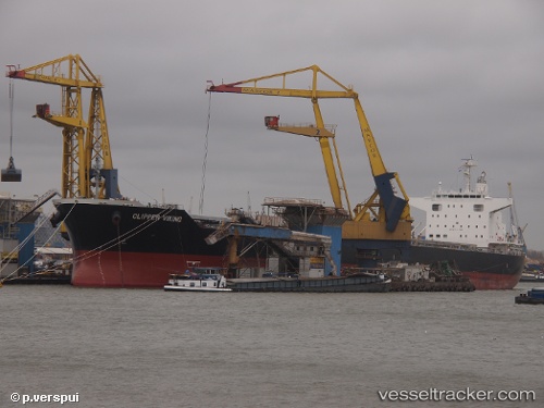 vessel PARAGON IMO: 9727326, Bulk Carrier