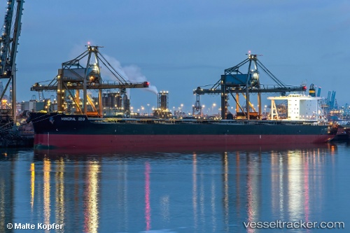 vessel Mineral Edo IMO: 9727352, Bulk Carrier
