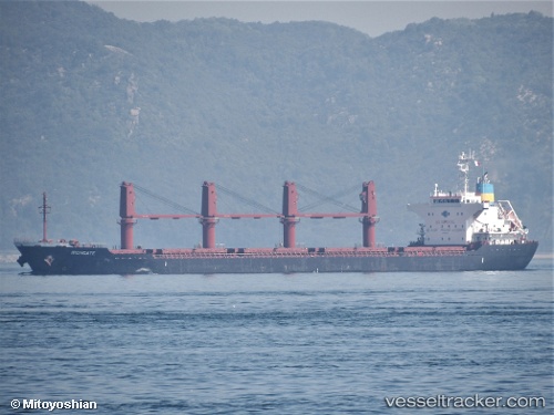 vessel ATLANTIC TSUBAKI IMO: 9727364, Bulk Carrier