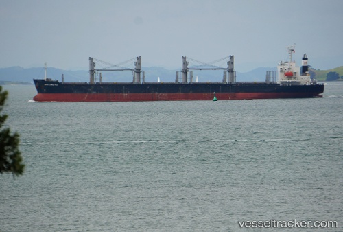 vessel AMIDALA IMO: 9728344, Bulk Carrier