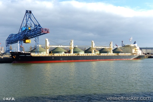 vessel Darya Krishna IMO: 9728370, Bulk Carrier
