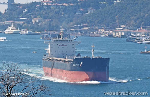 vessel Ocean Saga IMO: 9729312, Bulk Carrier
