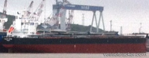 vessel Valiant Spring IMO: 9731183, Bulk Carrier

