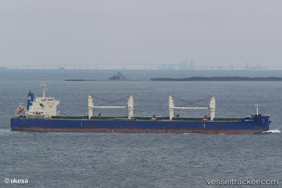 vessel Great 61 IMO: 9731365, Bulk Carrier
