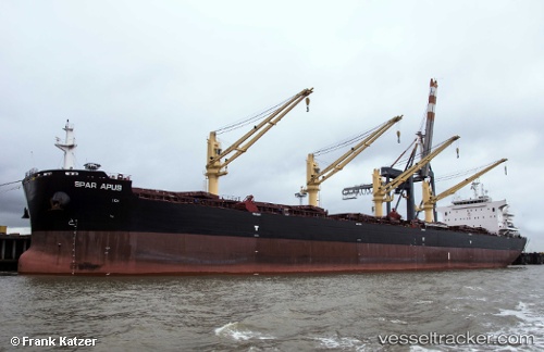 vessel Spar Apus IMO: 9734989, Bulk Carrier
