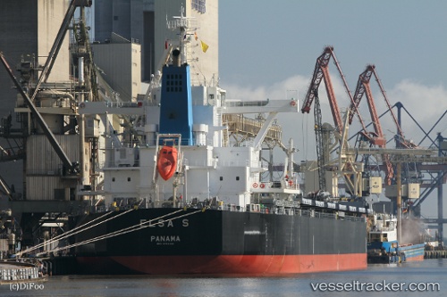 vessel Elsa S IMO: 9736353, Bulk Carrier

