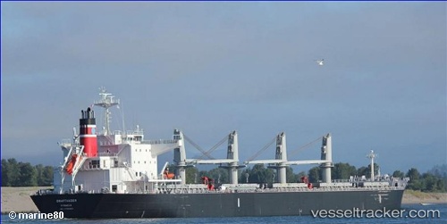 vessel Draftvader IMO: 9736664, Bulk Carrier
