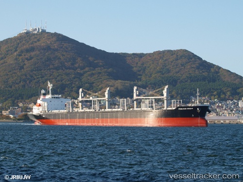 vessel Pegasus Ocean IMO: 9736963, Bulk Carrier
