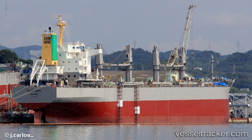 vessel Ante Topic IMO: 9737072, Bulk Carrier
