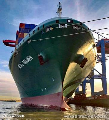 vessel Texas Triumph IMO: 9737503, Container Ship
