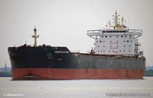 vessel Pedhoulas Rose IMO: 9738038, Bulk Carrier
