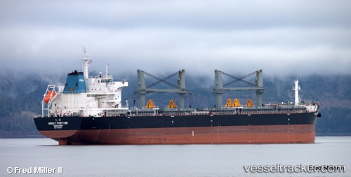 vessel Great Fortune IMO: 9738507, Bulk Carrier
