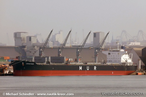 vessel African Baza IMO: 9738753, Bulk Carrier
