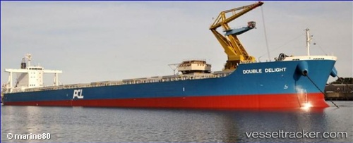 vessel Double Delight IMO: 9738806, Bulk Carrier
