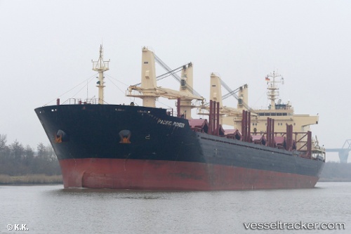vessel Pacific Pioneer IMO: 9739082, Bulk Carrier
