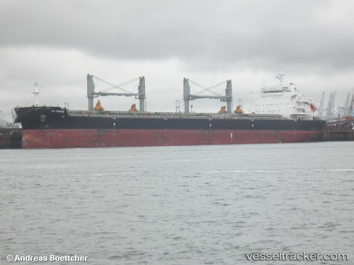 vessel Tr Prince IMO: 9742651, Bulk Carrier
