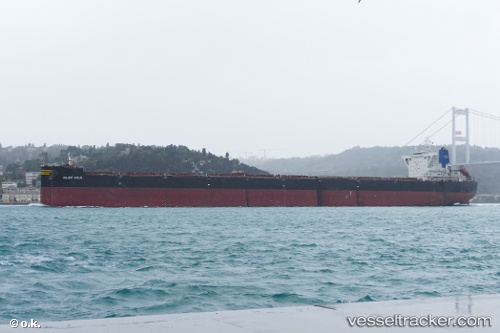 vessel Golden Arcus IMO: 9743162, Bulk Carrier
