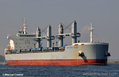 vessel Western Miami IMO: 9743215, Bulk Carrier
