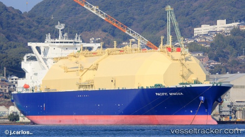 vessel Pacific Mimosa IMO: 9743875, Lng Tanker
